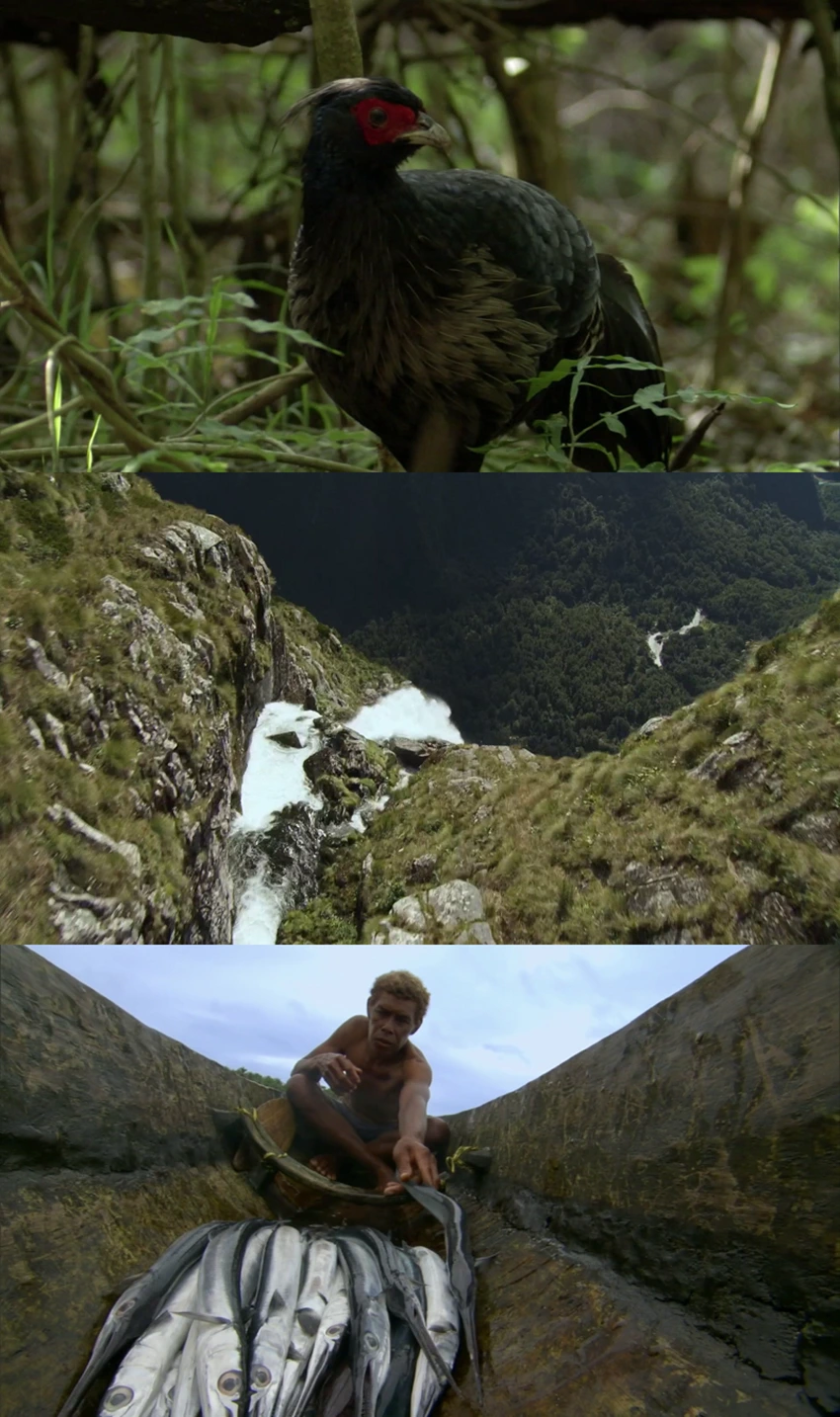 Download South Pacific | 2023 | Season 1 | Netflix Original WEB Series  | 480p 720p 1080p | MoviesWood