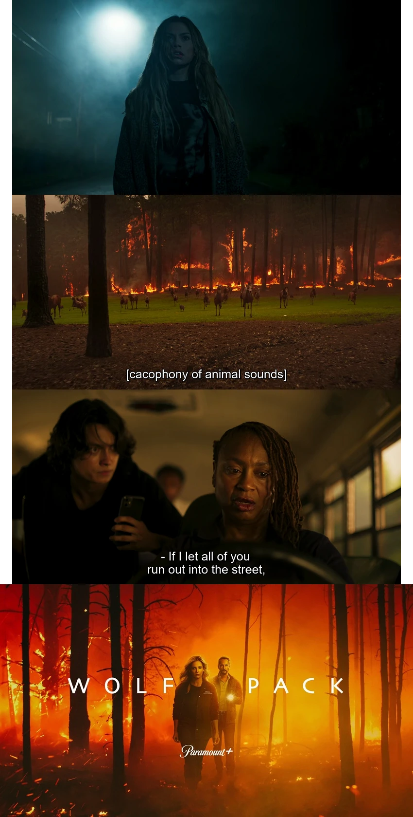 Download Wolf Pack | 2023 | Season 1 | Hindi | Complete Web Series | 480p 720p 1080p | MoviesWood