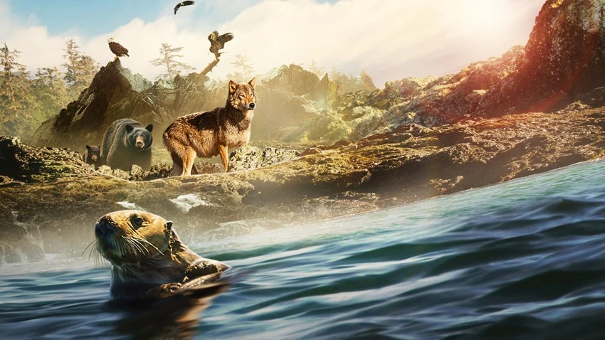 Download Island of the Sea Wolves | 2022 | Season 1 | Dual Audio | Hindi-English | Netflix Original Web Series | 480p 720p 1080p | MoviesWood