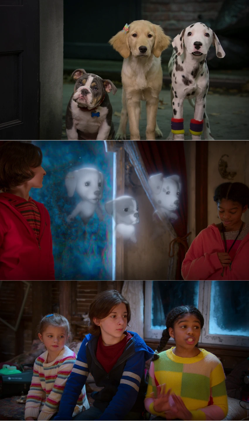 Download Phantom Pups | 2022 | Season 1 | {Hindi-English-} | Web Series | 480p 720p 1080p | MoviesWood