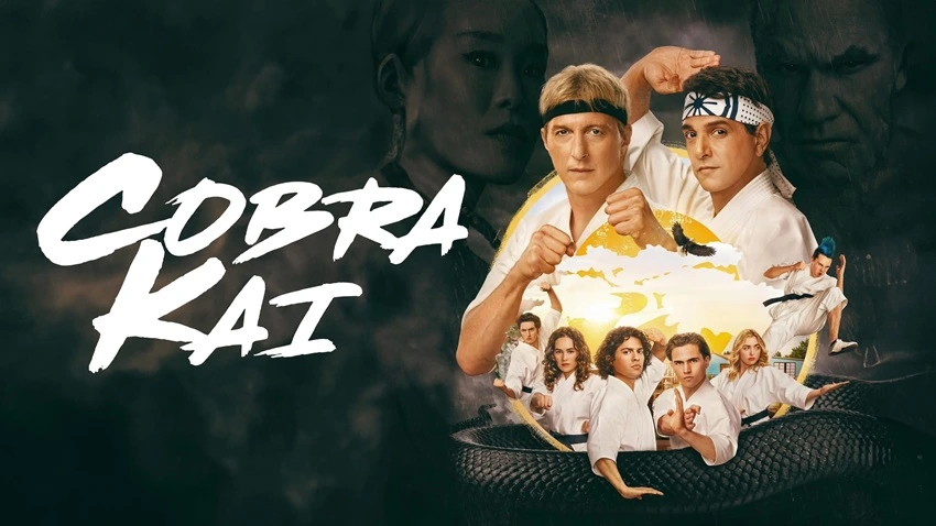 Download Cobra Kai | 2022 | Season 1 | Hindi | Netflix Original WEB Series  | 480p 720p 1080p | MoviesWood