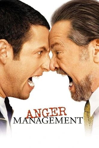 Download Anger Management | 2003 | BluRay Dual Audio | Hindi-English | 480p 720p 1080p