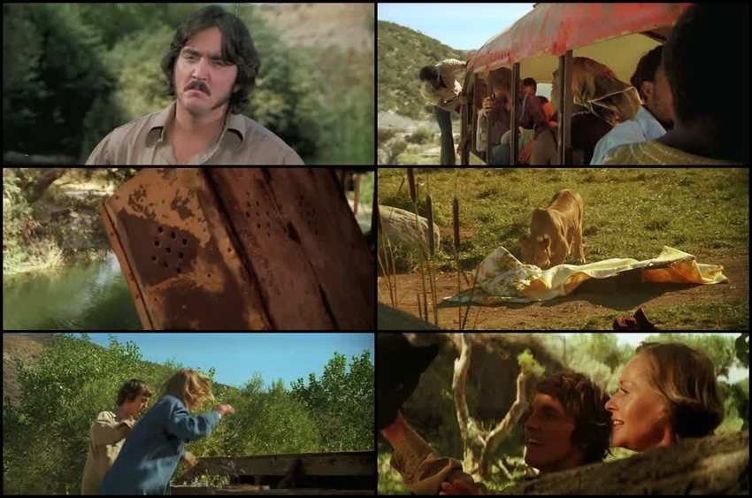 Download Roar | 1981 | Hindi-English | Dual Audio | BluRay | Full Movie 480p 720p 1080p